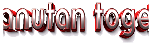 panutan togel